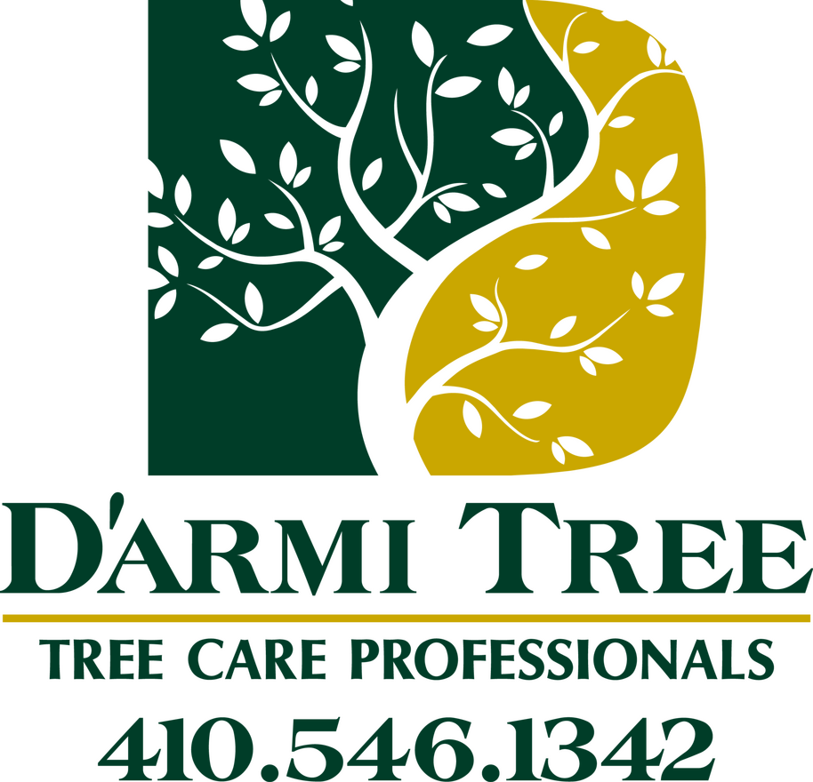 D'Armi Tree